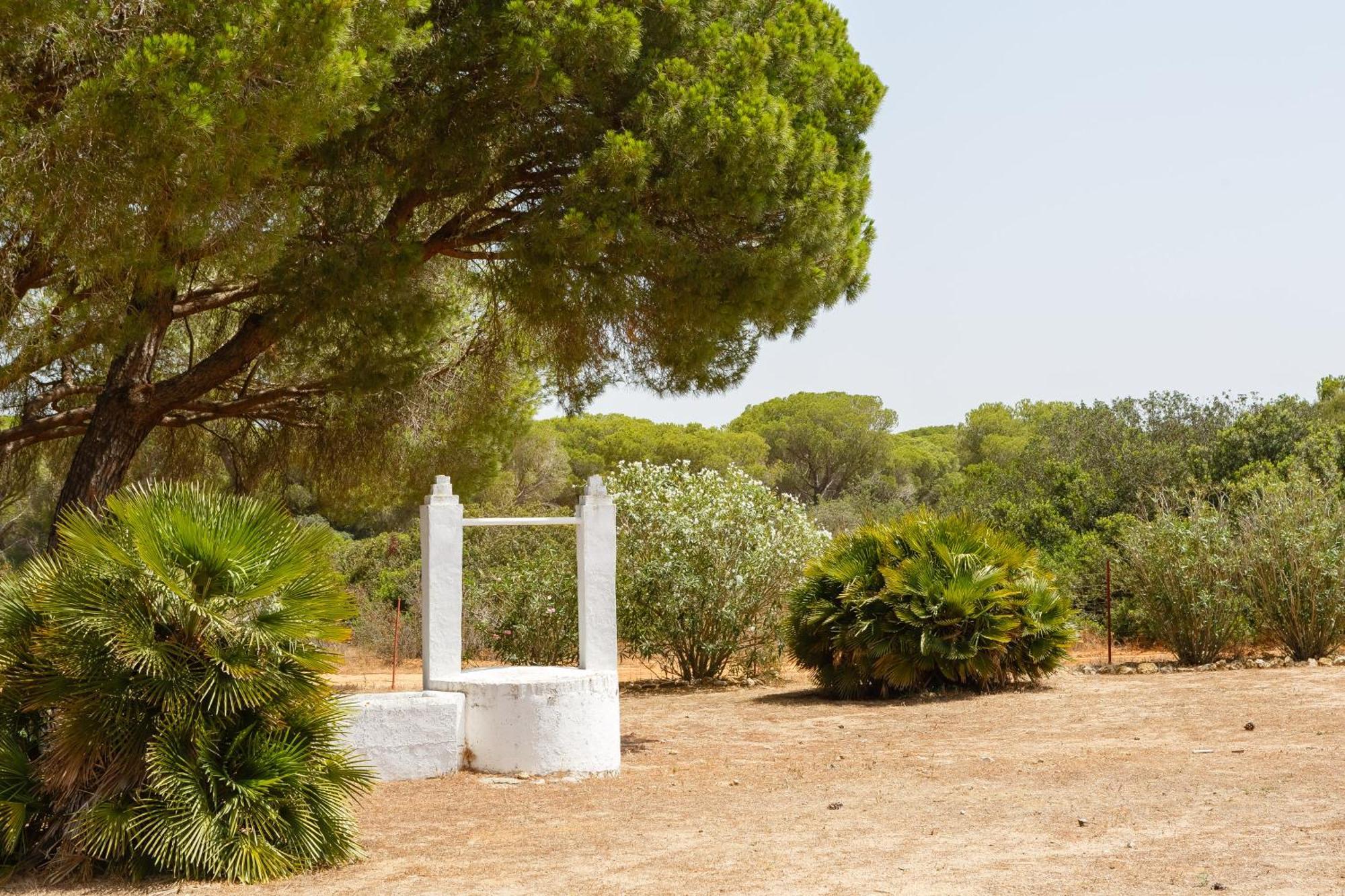 Casa Dehesa De Las Yeguas Cadice Esterno foto
